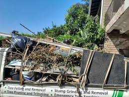 Best Yard Waste Removal  in Alvin, TX